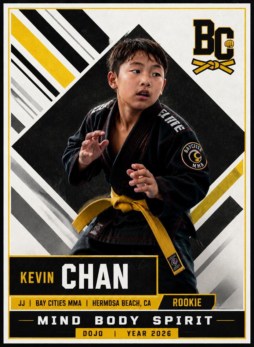 Martial Arts — Classic Baseball 2 template