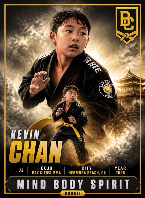 Martial Arts — Dreamy Baseball 1 template