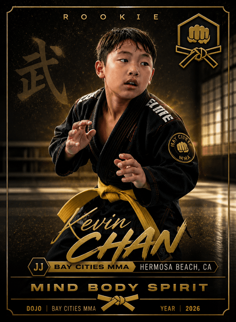Martial Arts — Dreamylights Baseball 2 template